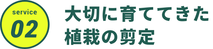 大切に育ててきた
植栽の剪定